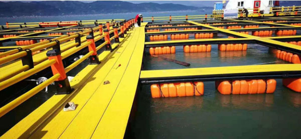 滾塑成型網箱 滾塑成型網箱